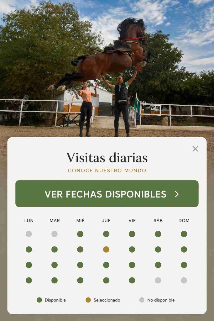 Visita a Centro ecuestre de Ronda a Caballo
